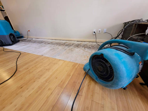 Reliable Basement Flood Cleanup contractor in Lee, IL by Hirex Water Damage