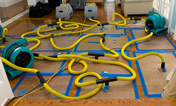 Professional Basement Flood Cleanup technician working in Lee, IL